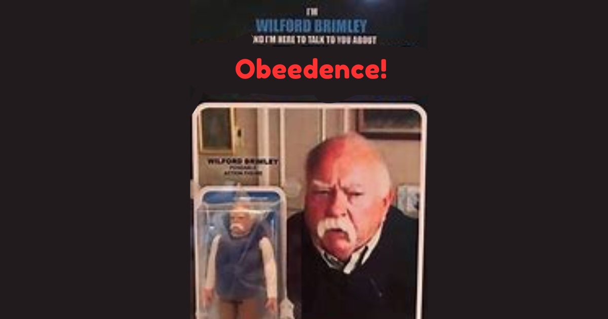 Let's talk about "obeedence."