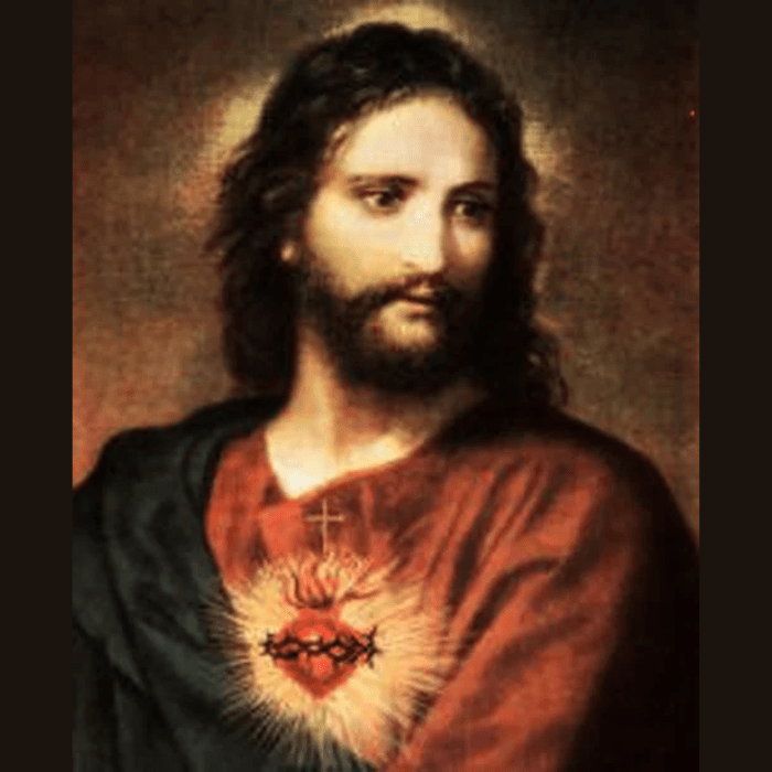 Jesus - Most Sacred Heart Exposed.