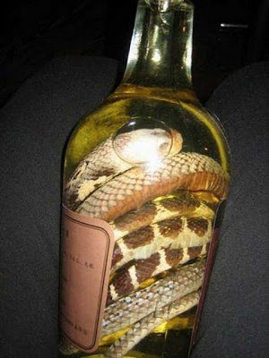 Snake in a wine bottle.