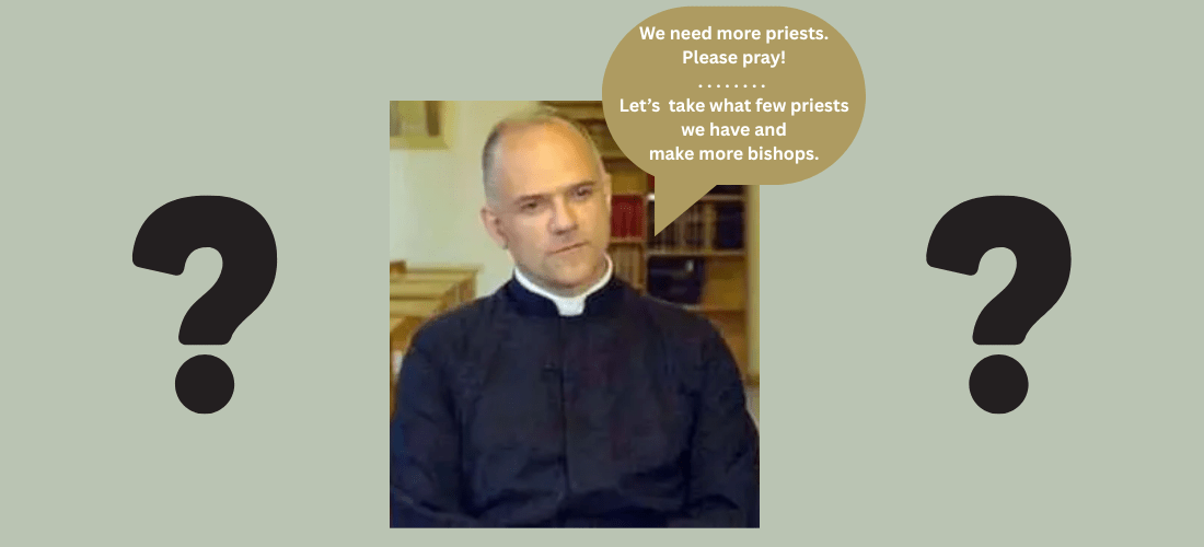 SSPX: Does it Have Enough Priests to Make&nbsp;Bishops?