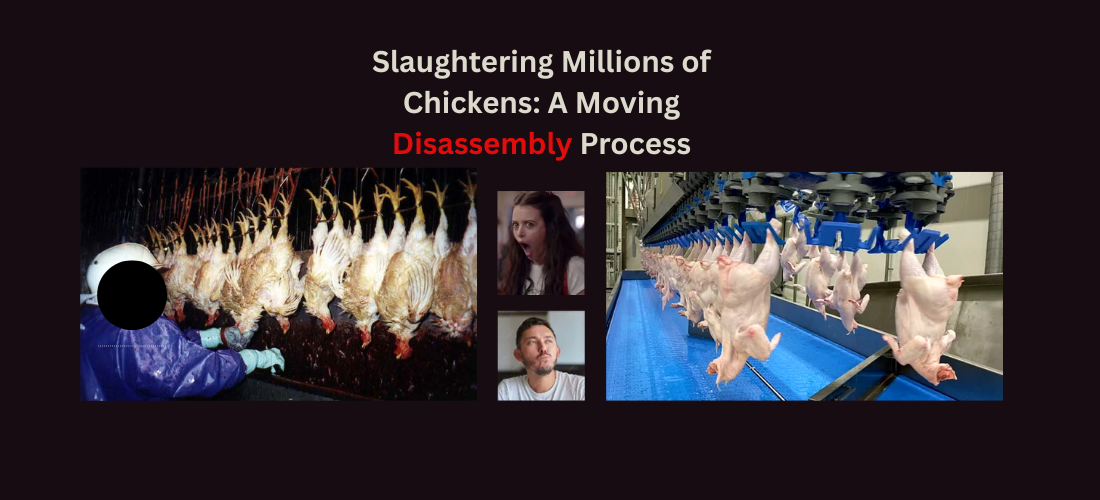 How to Kill Chickens (Millions Per&nbsp;Week)